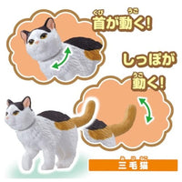 アニア わんにゃんにぎやかセット