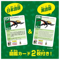 アニア AL-17 ヘラクレスオオカブト