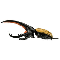 アニア AL-17 ヘラクレスオオカブト