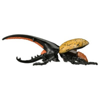 アニア AL-17 ヘラクレスオオカブト