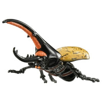 アニア AL-17 ヘラクレスオオカブト