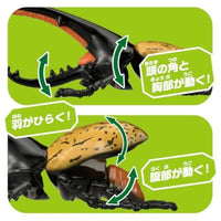アニア AL-17 ヘラクレスオオカブト