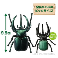 アニア AL-18 アトラスオオカブト