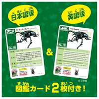 アニア AL-18 アトラスオオカブト