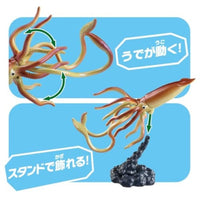 アニア AL-33 ダイオウイカ(水に浮くVer.)