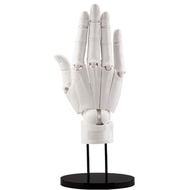 AT006 ARTIST SUPPORT ITEM ハンドモデル/R -WHITE-