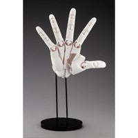 AT006 ARTIST SUPPORT ITEM ハンドモデル/R -WHITE-
