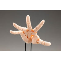 AT021 ARTIST SUPPORT ITEM ハンドモデル/R -PALE ORANGE-