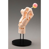 AT021 ARTIST SUPPORT ITEM ハンドモデル/R -PALE ORANGE-