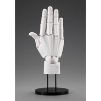 AT038 ARTIST SUPPORT ITEM ハンドモデルMEN'S/R -WHITE-