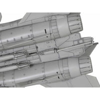 60795  1/72WB グラマン F-14D トムキャット