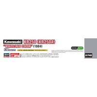 21745 1/12 カワサキ KR250 (KR250A) 'ホワイト/レッドカラー'