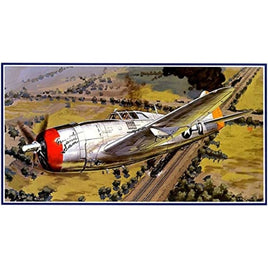 1/48 日本機・外国機No.16 サンダーボルト P-47D