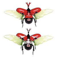 自由研究-214 自由研究シリーズ No.214 仮面ライダーストロンガー編 カブトムシ 仮面ライダーストロンガー仕様