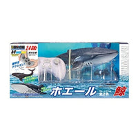 2.4GHz R/C ホエール ブルー