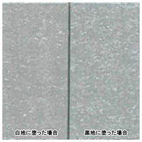 AG020072 シルバー