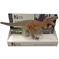 29100 ポケットボンド 1/40 英国自然史博物館 ティラノサウルス 26cm