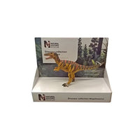 29102 ポケットボンド 1/40 英国自然史博物館 メガロサウルス 16cm