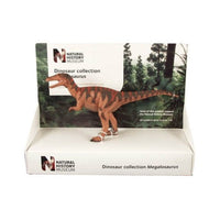 29102 ポケットボンド 1/40 英国自然史博物館 メガロサウルス 16cm