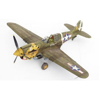 EDUR0023 エデュアルド 1/48 P-40E ウォーホーク デュアルコンボ ロイヤルクラス