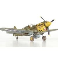 EDUR0023 エデュアルド 1/48 P-40E ウォーホーク デュアルコンボ ロイヤルクラス