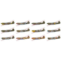 EDUR0023 エデュアルド 1/48 P-40E ウォーホーク デュアルコンボ ロイヤルクラス