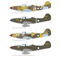 EDU8463 エデュアルド 1/48 P-39K/L エアラコブラ ウィークエンドエディション