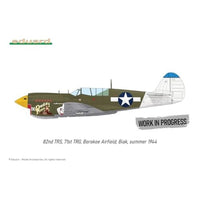 EDUR0025 エデュアルド 1/48 P-40N ウォーホーク デュアルコンボ ロイヤルクラス