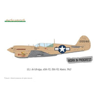 EDUR0025 エデュアルド 1/48 P-40N ウォーホーク デュアルコンボ ロイヤルクラス