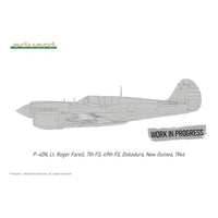 EDUR0025 エデュアルド 1/48 P-40N ウォーホーク デュアルコンボ ロイヤルクラス