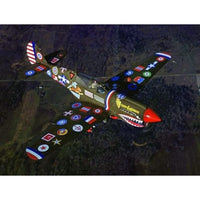 EDU 11193 エデュアルド 1/48 P-40N ウォーホーク 15.000機記念塗装 リミテッドエディション