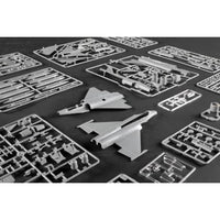 01690 トランぺッター 1/72 パキスタン空軍 J-10CE&インド空軍 ラファール 2in1
