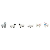 328193 ザ・動物107 牧場の羊・ヤギ