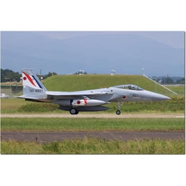 AC-81 プラッツ 1/72 航空自衛隊 F-15J イーグル 第305飛行隊 日仏共同訓練 2023 特別塗装機
