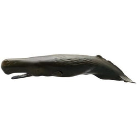 FM-904 マッコウクジラ ソフトモデル