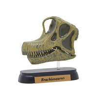 73506 FDW-506 ブラキオサウルス スカル ミニモデル