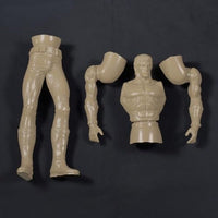 ハマハヤオ 北斗の拳 ラオウ1/6ソフビキット