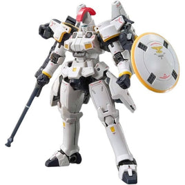 28 RG トールギス EW