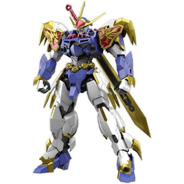 HG Amplified IMGN 龍神丸