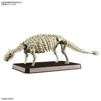 06  アンキロサウルス