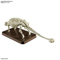 06  アンキロサウルス