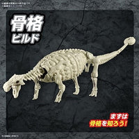 06  アンキロサウルス