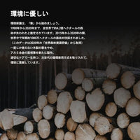 AT-FB04 交換式面相筆 - ブラック【DSPIAE】