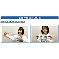 斉藤塗料 ウレヒーロースプレー メッキゴールド 100ml