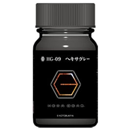 HG-09 ヘキサグレー 15ml 半光沢