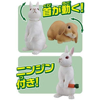 アニア AS-34 ウサギ 日本白色種 & ロップイヤー
