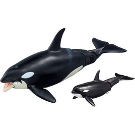 アニア AL-08 シャチ親子(水に浮くVer.)