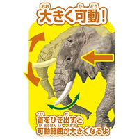 アニア AS-02 アフリカゾウ(オレンジ付き)