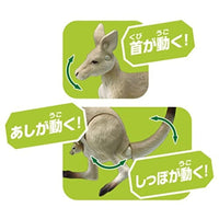 アニア AS-21 オオカンガルー