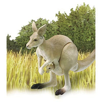 アニア AS-21 オオカンガルー